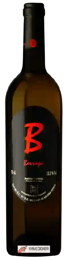 Bodega Berroja - Bizkaiko Txakolina Blanco