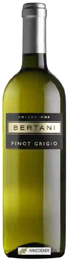 Winery Bertani - Pinot Grigio Winery Bertani - Pinot Grigio