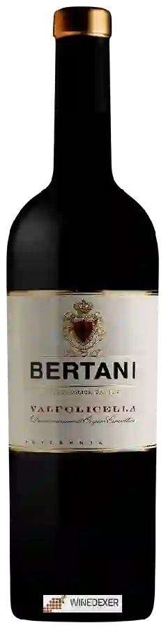 Winery Bertani - Valpolicella