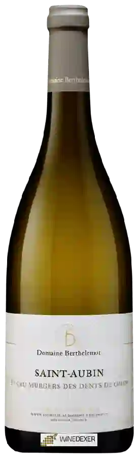 Domaine Berthelemot - Saint-Aubin 1er Cru 'Les Murgers des Dents de Chien'