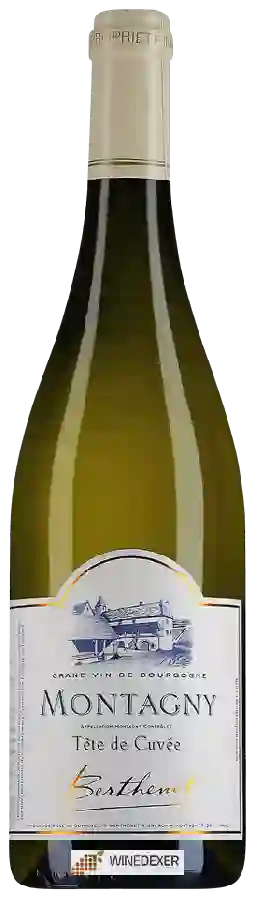 Winery Berthenet - Tête de Cuvée Montagny