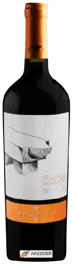 Winery Bertolini - Teroldego