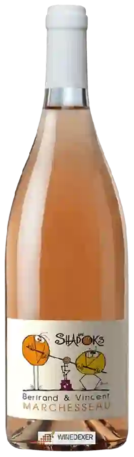 Winery Bertrand & Vincent Marchesseau - Marchesseau