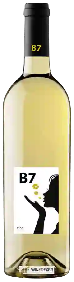 Winery Beso de Rechenna - B7 Blanco