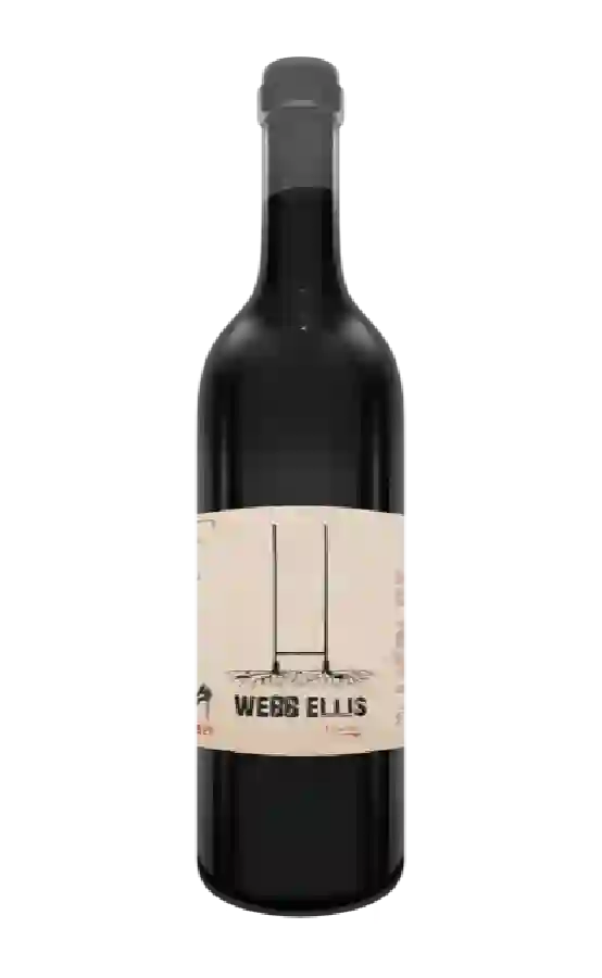 Domaine de Besombes Singla - Webb Ellis Merlot