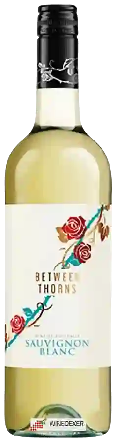 Winery Between Thorns - Sauvignon Blanc Winery Between Thorns - Sauvignon Blanc
