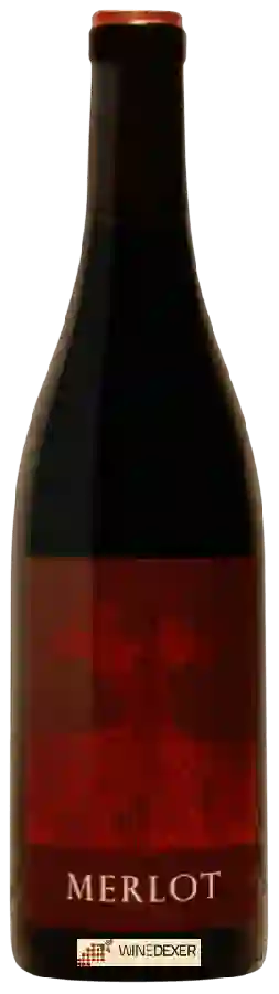 Winery Bianka and Daniel Schmitt - Merlot Winery Bianka and Daniel Schmitt - Merlot