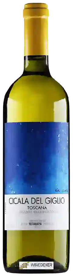 Winery Bibi Graetz - Toscana Cicala Del Giglio