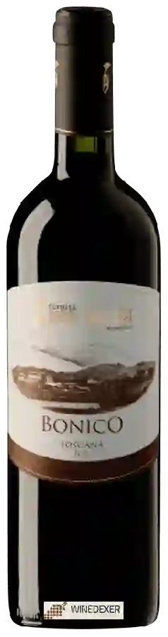 Winery Bichi Borghesi - Bonico