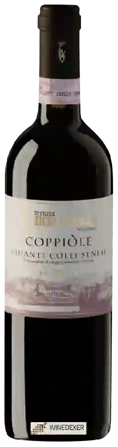 Winery Bichi Borghesi - Coppiòle Chianti Colli Senesi Riserva