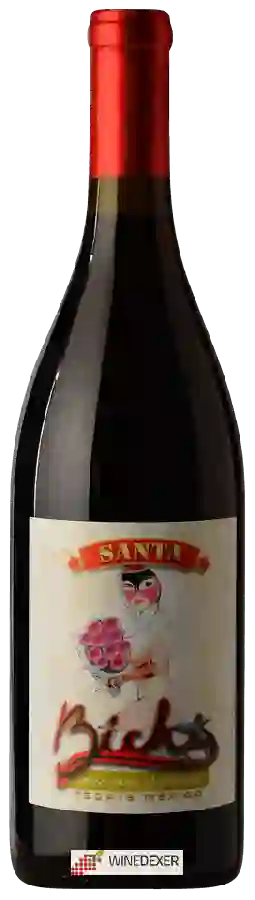 Winery Bichi - La Santa