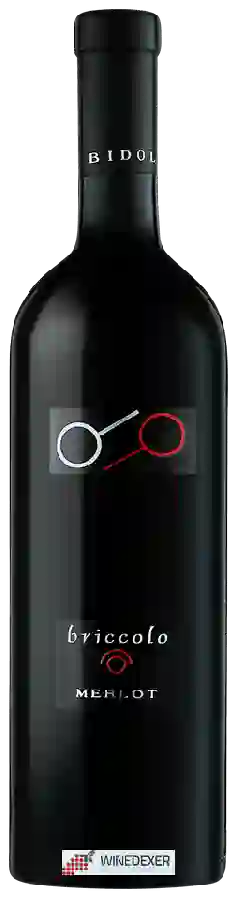 Winery Bidoli - Briccolo Merlot