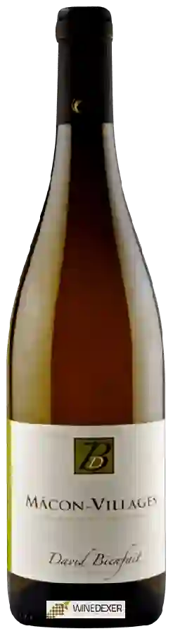 Winery David Bienfait - Mâcon-Villages Winery David Bienfait - Mâcon-Villages