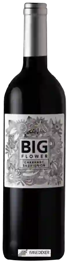 Winery Big Flower - Cabernet Sauvignon