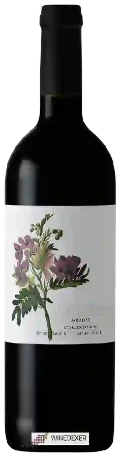 Winery Big Flower - Merlot Winery Big Flower - Merlot