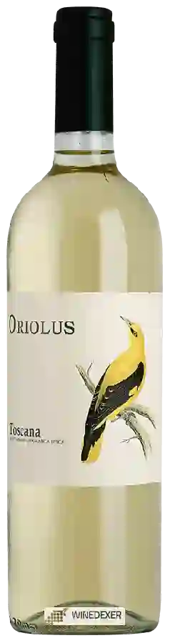 Winery Bindi Sergardi - Oriolus Bianco Winery Bindi Sergardi - Oriolus Bianco