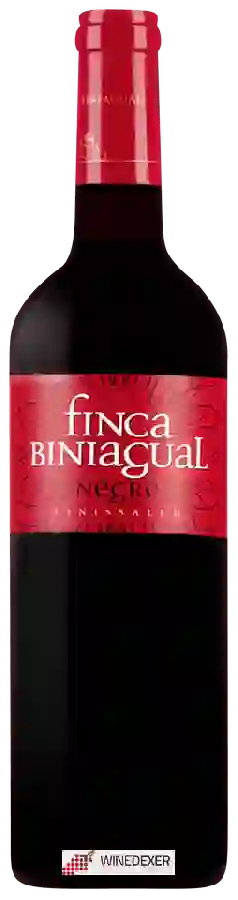 Winery Biniagual - Finca Biniagual Negre