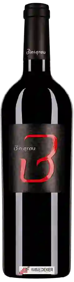 Winery Binigrau - B Tinto (Selecció)