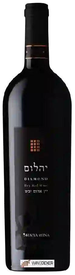 Winery Binyamina - Diamond Dry Red ( אבני החושן יהלום ) Winery Binyamina - Diamond Dry Red ( אבני החושן יהלום )