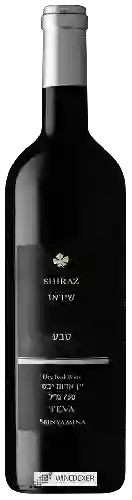 Winery Binyamina - Teva Shiraz ( שיראז )