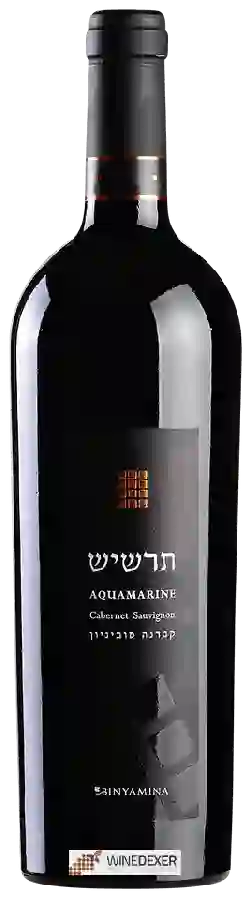 Winery Binyamina - The Chosen Aquamarine Cabernet Sauvignon ( אבני החושן  תרשיש יין אדום יבש )