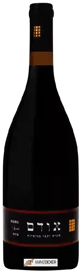 Winery Binyamina - The Chosen Ruby Syrah ( אבני החושן אודם יין אדום יבש ) Winery Binyamina - The Chosen Ruby Syrah ( אבני החושן אודם יין אדום יבש )