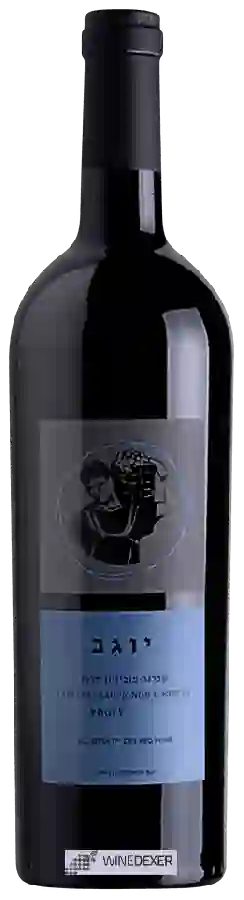 Winery Binyamina - Yogev Cabernet Sauvignon - Merlot ( יוגב קברנה סוביניון - מרלו ) Winery Binyamina - Yogev Cabernet Sauvignon - Merlot ( יוגב קברנה סוביניון - מרלו )