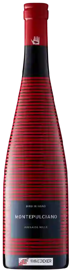 Winery Bird In Hand - Montepulciano