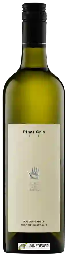 Winery Bird In Hand - Pinot Gris Winery Bird In Hand - Pinot Gris