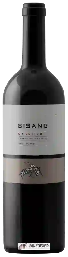 Winery Bisang - Männlich