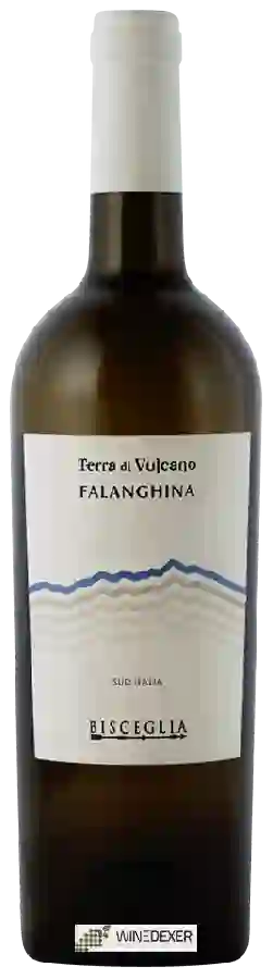 Winery Bisceglia - Terra di Vulcano Falanghina