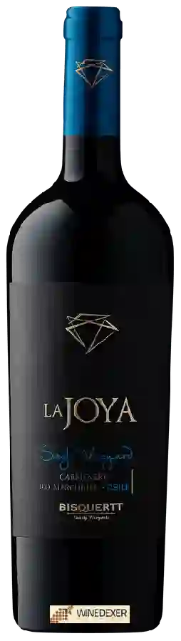 Winery Bisquertt Family Vineyards - La Joya Single Vineyard Carmenère