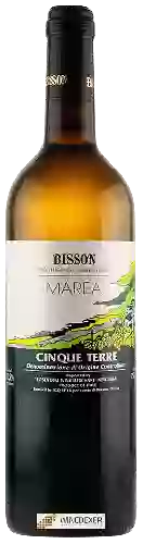 Winery Bisson - Marea Cinque Terre