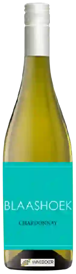 Winery Blaashoek - Chardonnay
