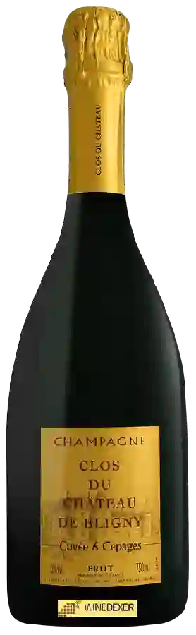 Château de Bligny - Clos Cuvée 6 Cépages Brut Champagne Château de Bligny - Clos Cuvée 6 Cépages Brut Champagne