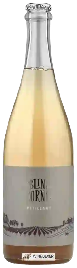 Winery Blind Corner - Pétillant