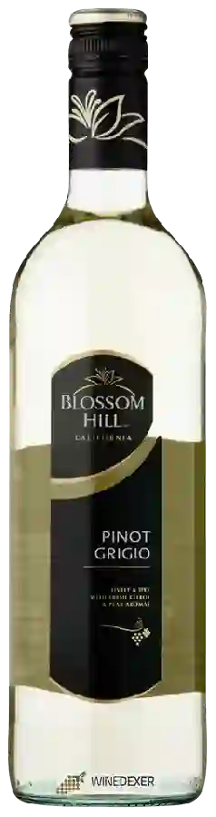 Winery Blossom Hill - Pinot Grigio Winery Blossom Hill - Pinot Grigio