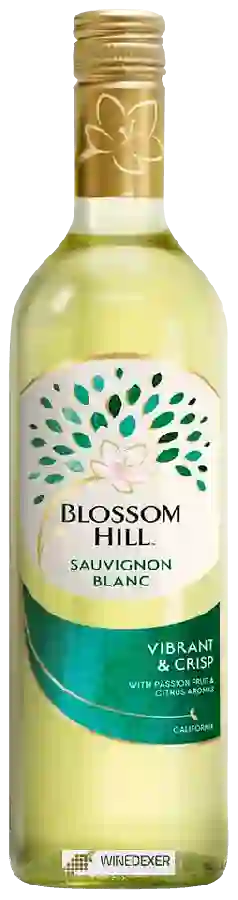 Winery Blossom Hill - Sauvignon Blanc Winery Blossom Hill - Sauvignon Blanc