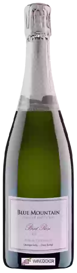 Winery Blue Mountain Vineyard - Brut Rosé