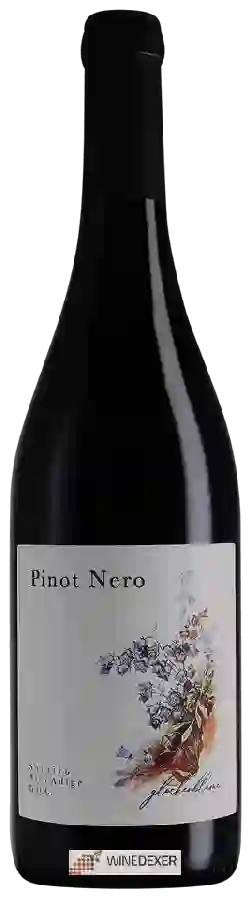 Winery Blumenfeld - Pinot Nero