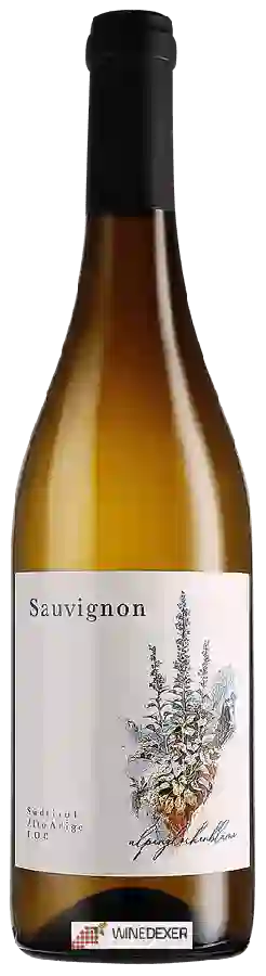 Winery Blumenfeld - Sauvignon