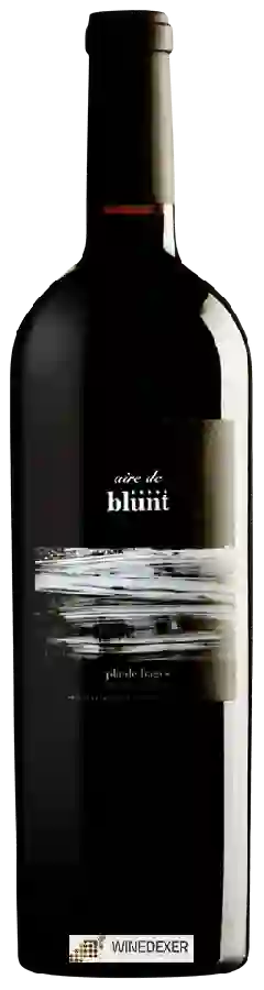 Winery Cellers Underground - Aire de Blunt Pla de Bages Winery Cellers Underground - Aire de Blunt Pla de Bages