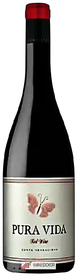 Winery Cellers Underground - Pura Vida Negre