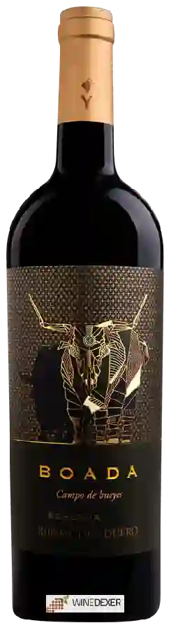Winery Boada - Campo de Bueyes Reserva