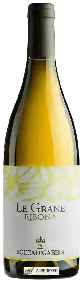 Winery Boccadigabbia - Le Grane Colli Maceratesi Ribona