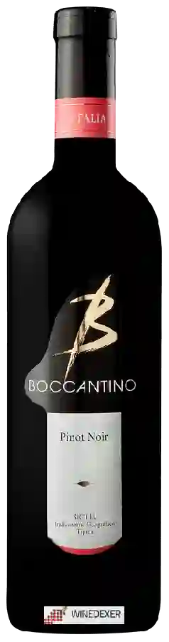 Winery Boccantino - Pinot Noir