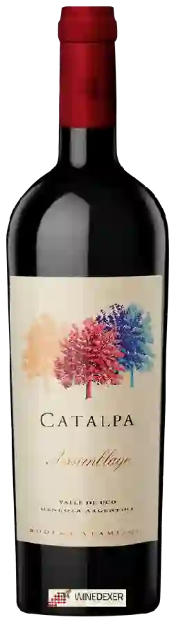 Bodega Atamisque - Catalpa Assemblage Bodega Atamisque - Catalpa Assemblage