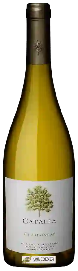 Bodega Atamisque - Catalpa Chardonnay Bodega Atamisque - Catalpa Chardonnay