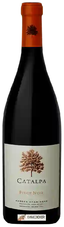 Bodega Atamisque - Catalpa Pinot Noir Bodega Atamisque - Catalpa Pinot Noir