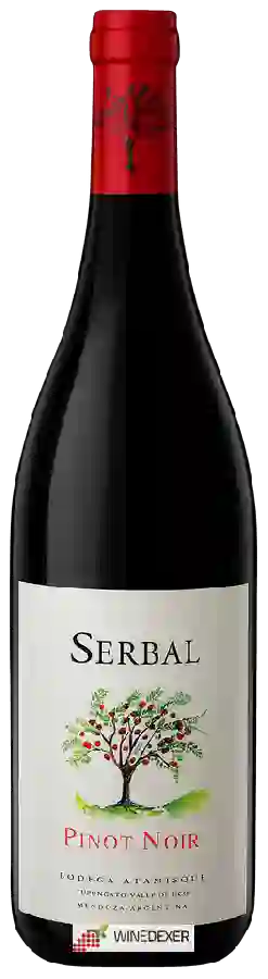 Bodega Atamisque - Serbal Pinot Noir